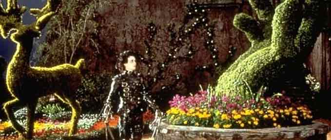 Edward Scissorhands